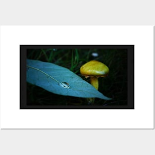 Yellow Mushroom and Droplet on a Leaf Posters and Art